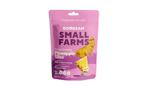 One-Ingredient Fruit Snacks