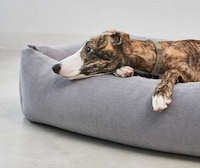 Anti-Fatigue Artisan-Made Dog Beds Image 3