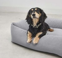 Anti-Fatigue Artisan-Made Dog Beds Image 5