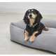 Anti-Fatigue Artisan-Made Dog Beds Image 5