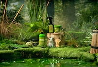 Swamp Bathing Experiences Image 2