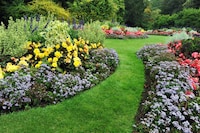 Royal Garden-Inspired Apparel Image 1