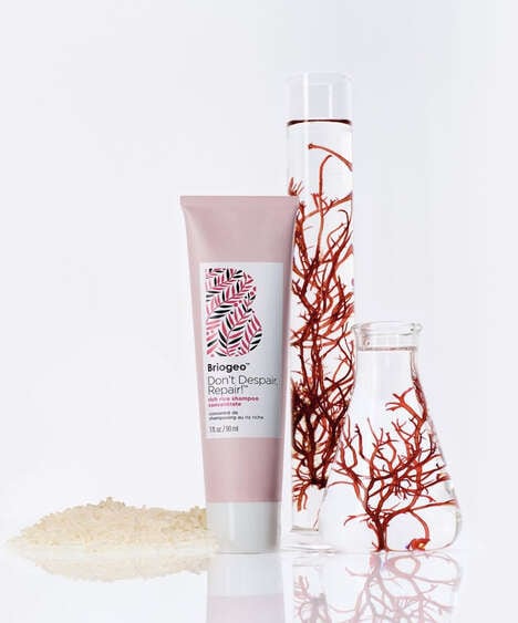 Repairing Rice Shampoos