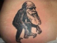 Evolutionary Inks