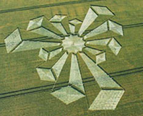 12 Cases of Aerial Artistry