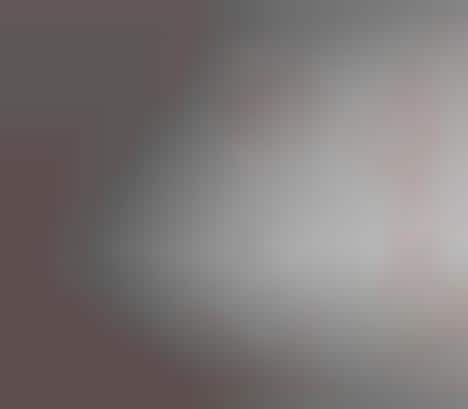 Fiesta Flamingo Crutches