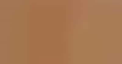 Computer-Cut Kitchen Marquetry