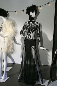 Circus Artist Chic Image 7