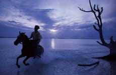 Fortnight Film Contests