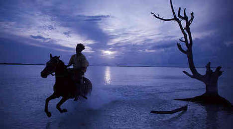 Fortnight Film Contests