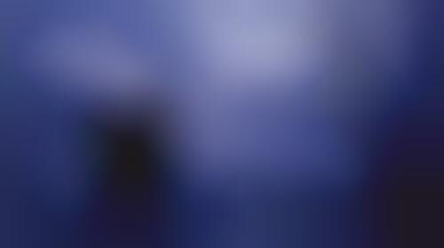 Fortnight Film Contests