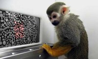 Curing Color Blindness Image 2