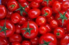 15 Tomato-Based Innovations