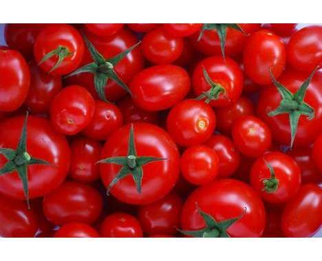 15 Tomato-Based Innovations