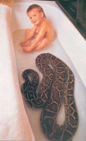 Questionable Procreation