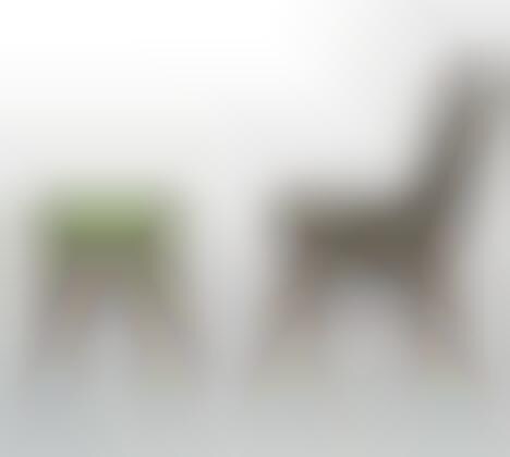 Nature-Inspired Modernity