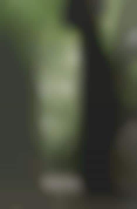 Mirrored Forest Fashiontography