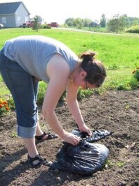 Employer-Sponsored Gardens Image 4