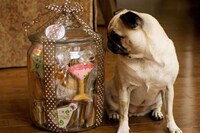 Doggie Baked Goods Image 4