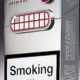 11 Compelling Cigarette Packs Image 1