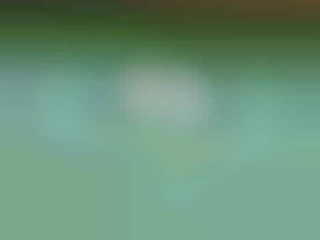 Artistic House Numbers