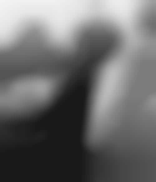 Paternal Insight Blogs