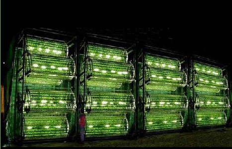 Space Age Gardening