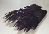 Metal Fingernail Gloves Image 3