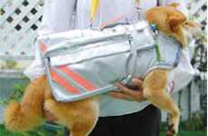 Doggie Disaster Duds