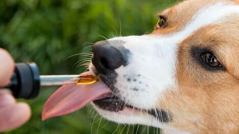 Plant-Based Pet Supplements