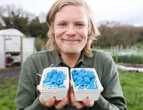 Blue Raspberry Farms