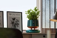 Plant-Supporting Air Purifiers Image 1