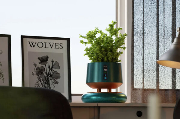 Plant-Supporting Air Purifiers