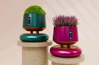 Plant-Supporting Air Purifiers Image 2