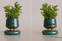 Plant-Supporting Air Purifiers Image 4