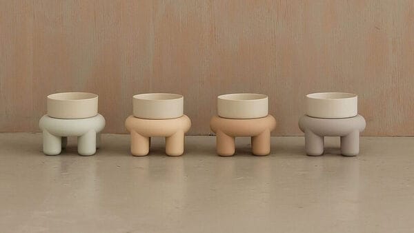 Anthropomorphized Pet Products