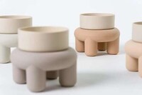 Anthropomorphized Pet Products Image 2