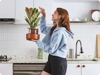 Low-Maintenance Soil-Free Plants Image 3