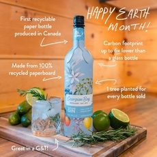 Paperboard Gin Bottles Article Thubnail