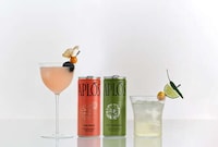 Alcohol-Free Craft Cocktails Image 2