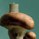 Earthy Mushroom Candles Image 1