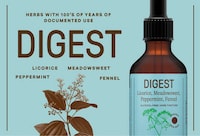 Contemporary Herbal Blends Image 2