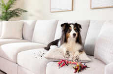 Pet-Friendly Lifestyle Furniture