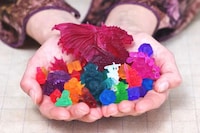 Edible Adventure Game Sets Image 2