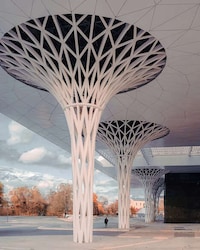 Latticed-Steel Transport Hub Columns Image 3