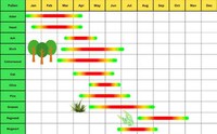 Local Pollen Trackers