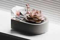 Virtual Pet Planter Pots Image 2