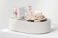 Virtual Pet Planter Pots Image 8