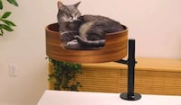 Elevated Workstation Cat Beds Image 1
