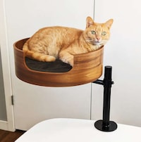 Elevated Workstation Cat Beds Image 2